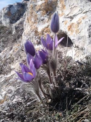 Прикрепленное изображение: 2015-03-10 15.20.56.jpg